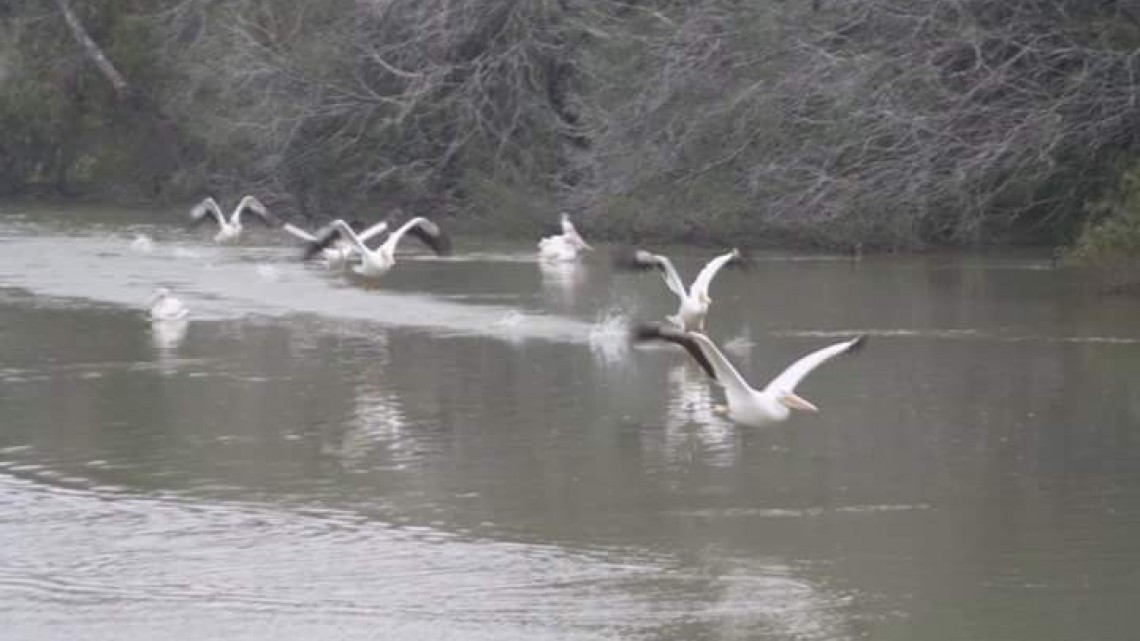 Dan a conocer fotografías del concurso "La Grandeza de Río Bravo"