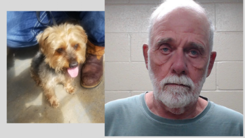 Policía rescata a perro de morir asfixiado en Puerto Isabel 