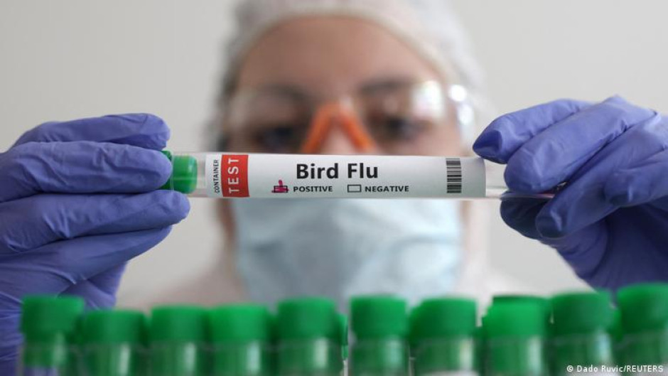 OMS confirma caso de gripe aviar AH9N2 en niño de la India