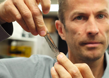 Renace el almacenamiento de datos en cinta magnética