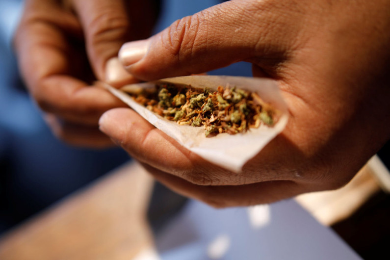 Declaran el 20 de abril como el día nacional de la marihuana 