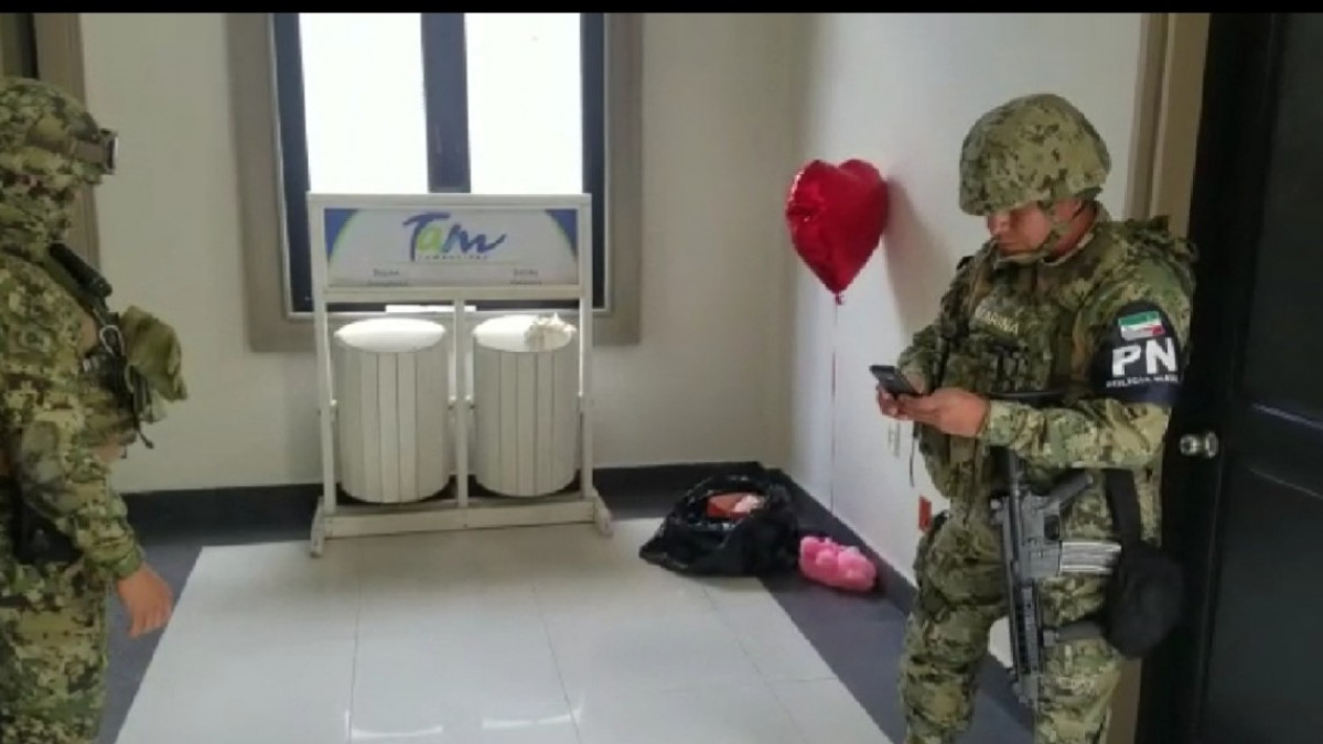 Animal muerto genera alarma entre empleados de la presidencia municipal