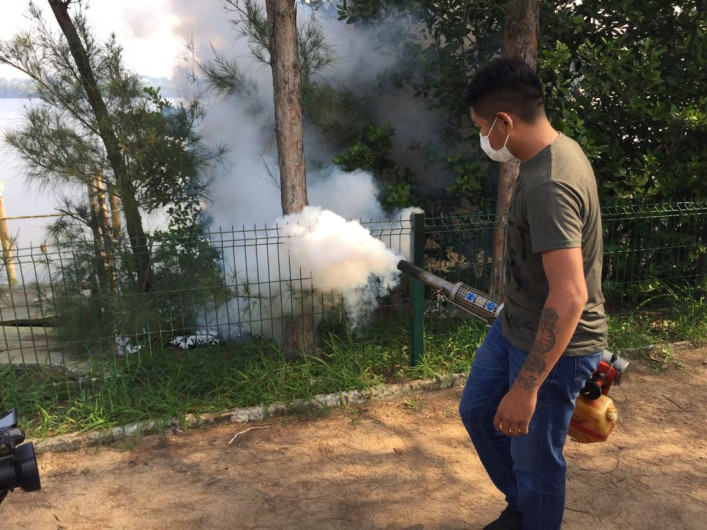 Se está ganando la lucha contra el mosco transmisor del dengue