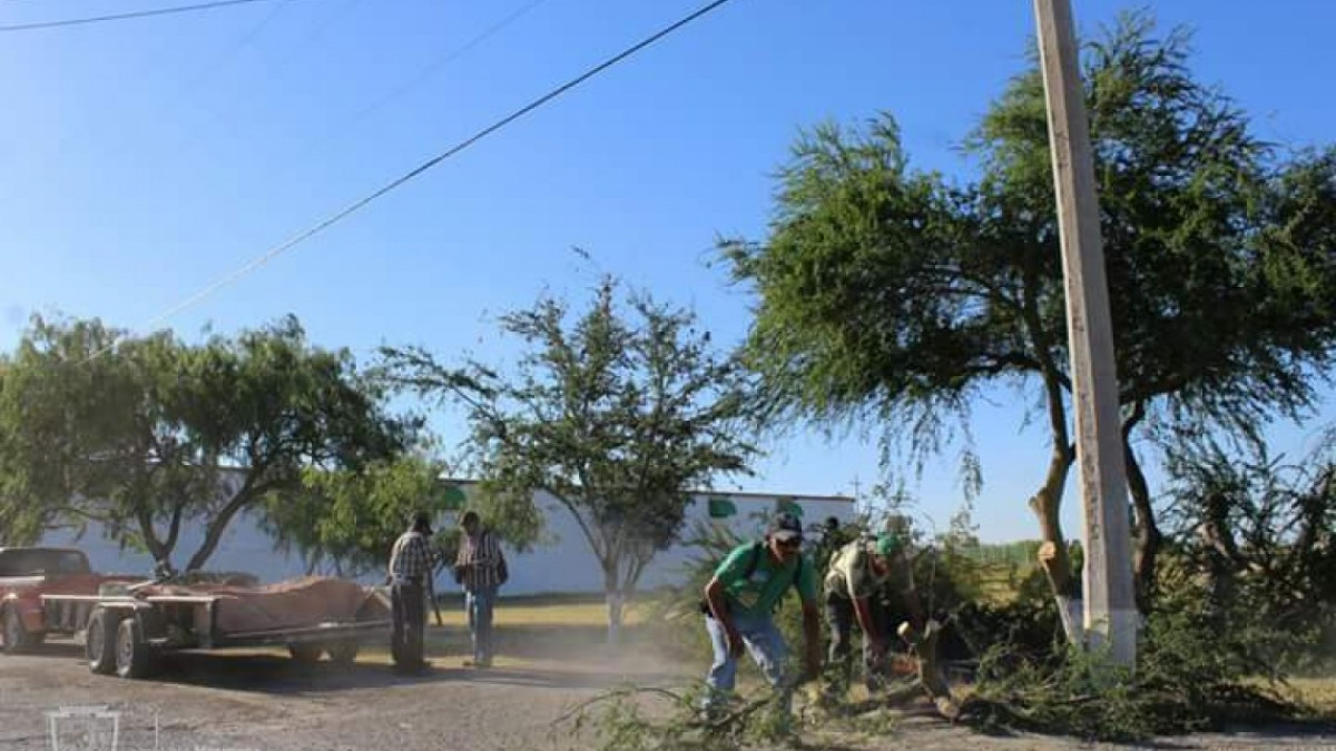 Realizan actividades del programa “Limpiando tu colonia”
