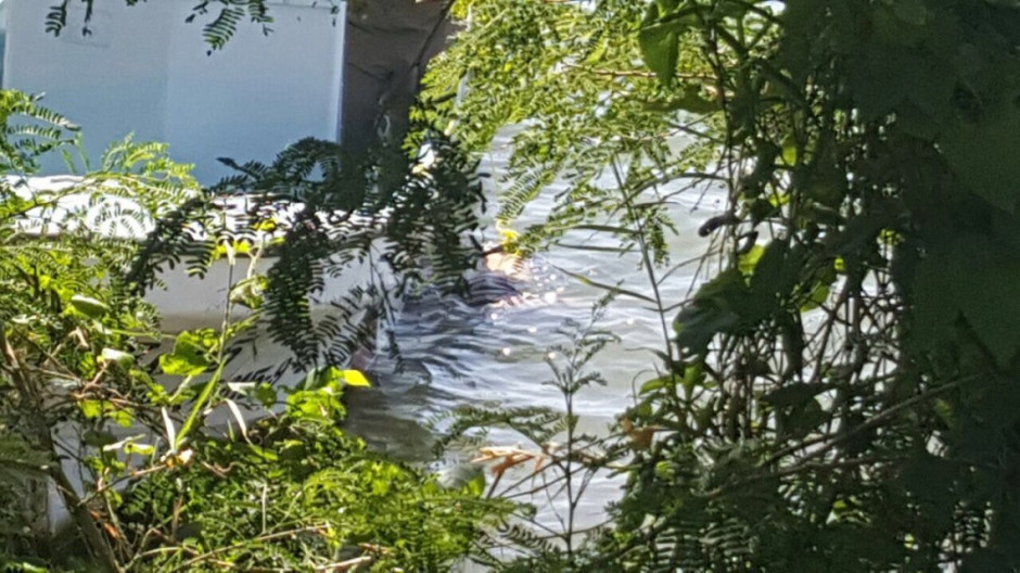 Encuentran cuerpo de hombre que se arrojó al Tamesí