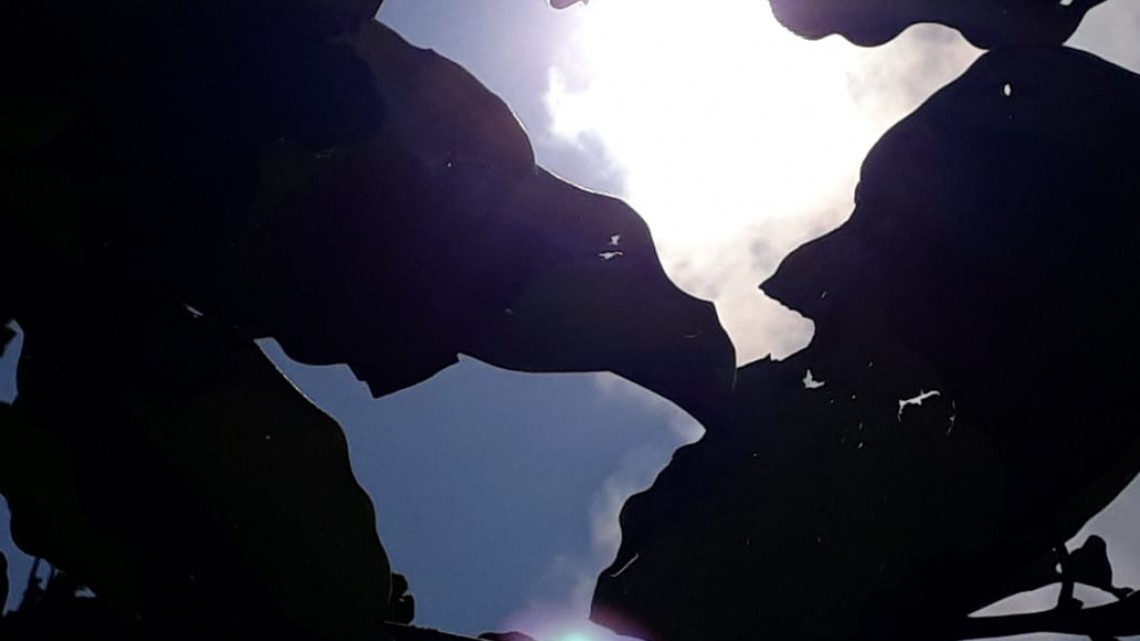 Invitan a atender recomendaciones para evitar golpe de calor