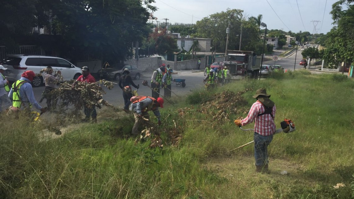 Arrancan campaña de descacharrización en la colonia La Paz