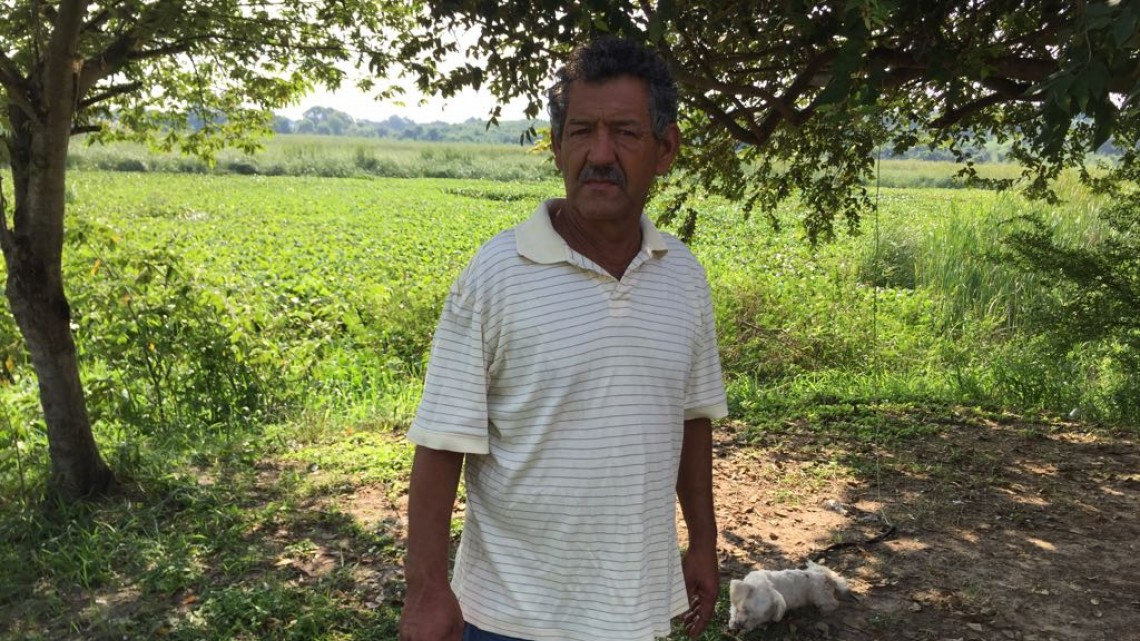 Cocodrilos, peligro constante para pescadores en lagunas 