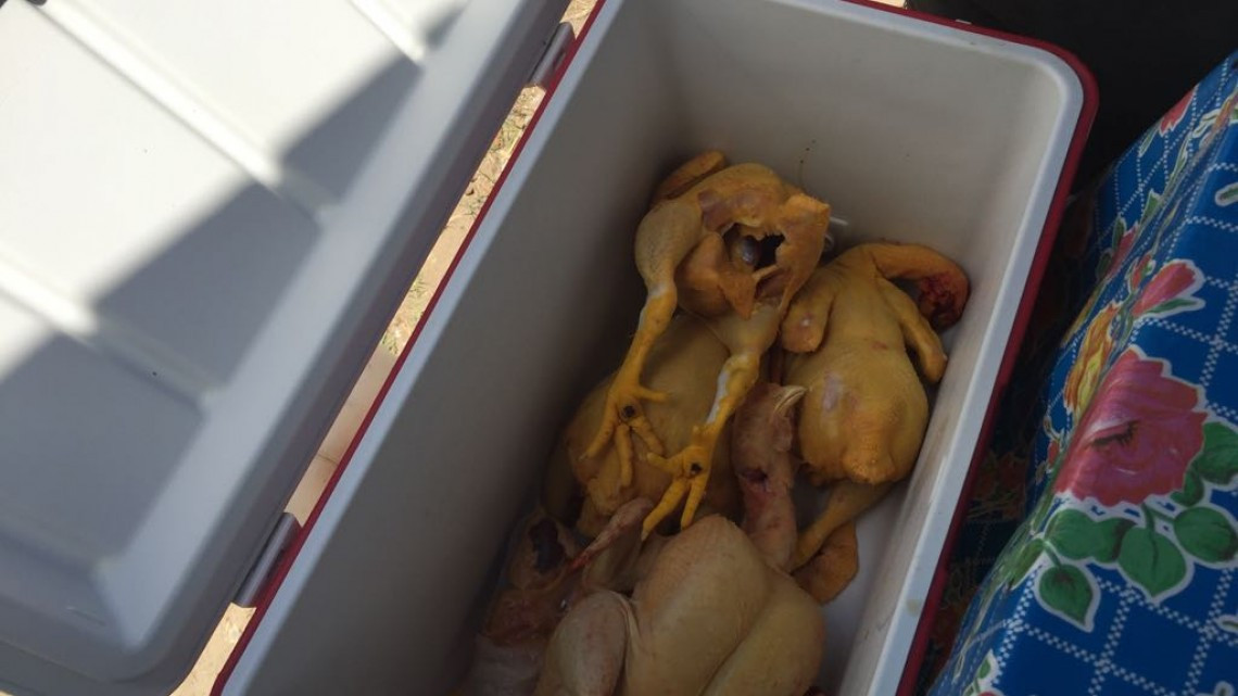 Se desploma la venta de pollo