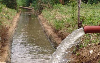 Lluvias de septiembre y octubre ayudan a productores