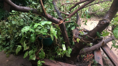 Se registra fuerte tormenta en Nuevo Laredo