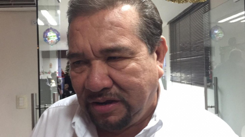 Repondrán en Madero 80 palmeras en boulevard costero de playa Miramar 