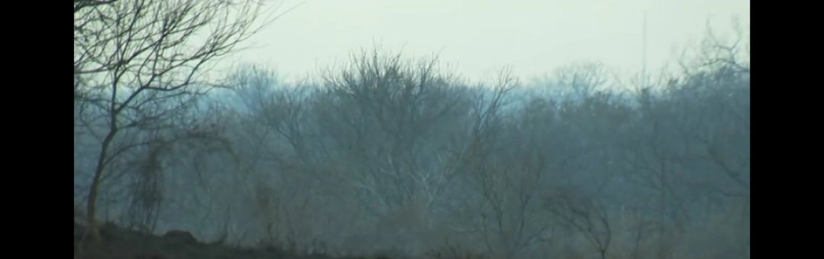 Incendio en Encino ya fue contenido; 2,000 acres de tierra consumidas