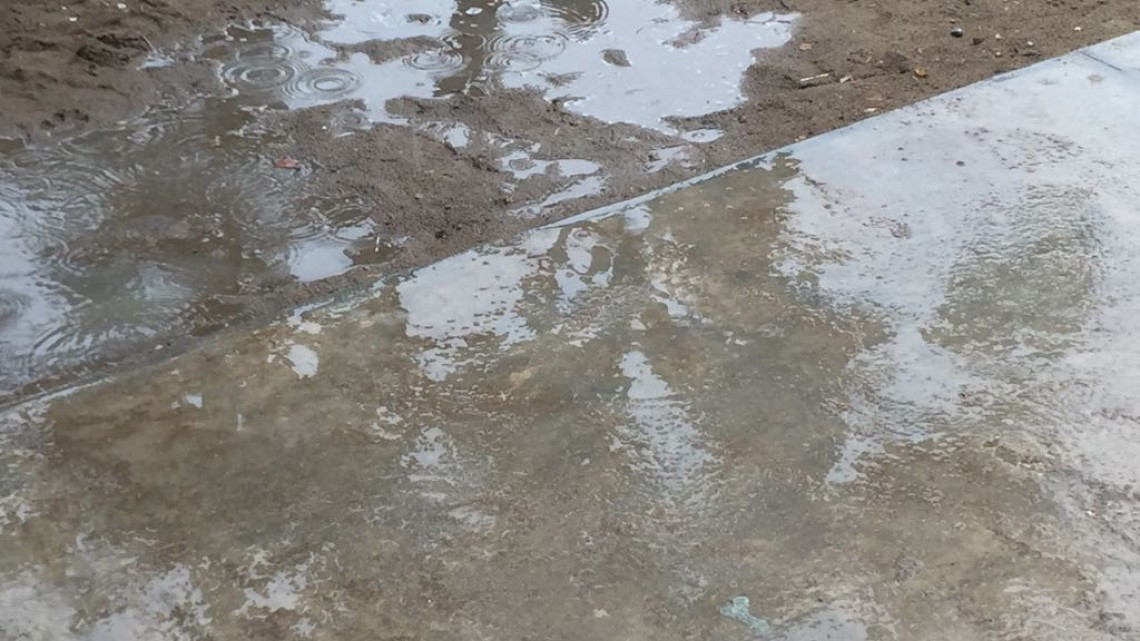 Lluvias generan entusiasmo en el sector agrícola y ganadero