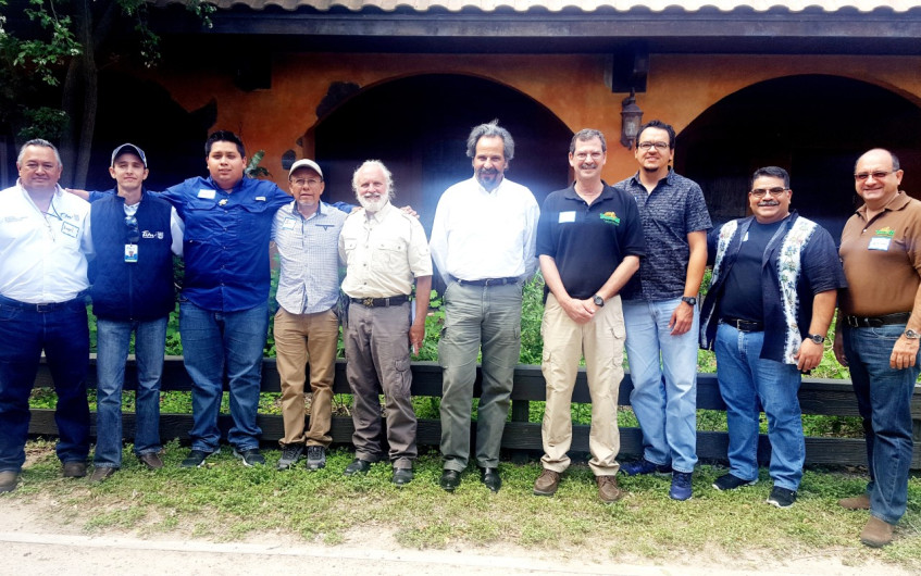 Seduma y Gladys Porter Zoo inician proyecto de protección a tortuga lora