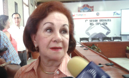 Abruma a diputada tanto trabajo legislativo