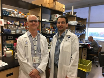 En Canadá preparan tratamiento que podría curar ciertos tipos de leucemia