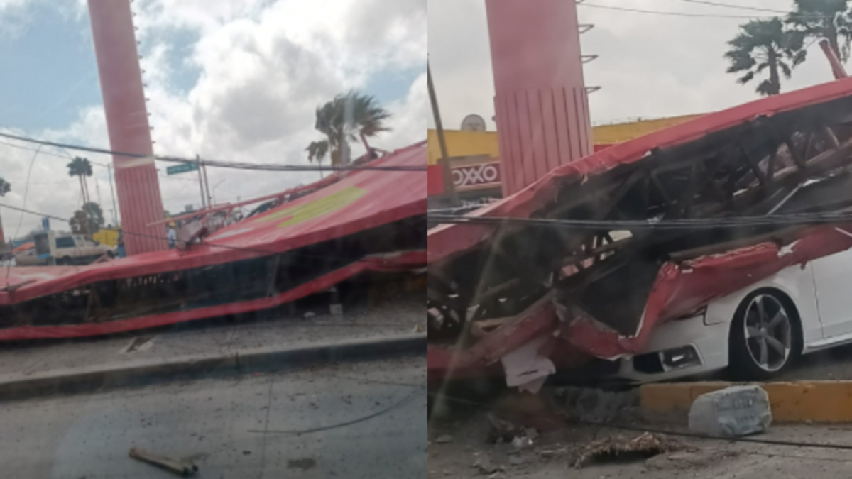 Destroza automóvil espectacular que cae por los fuertes vientos