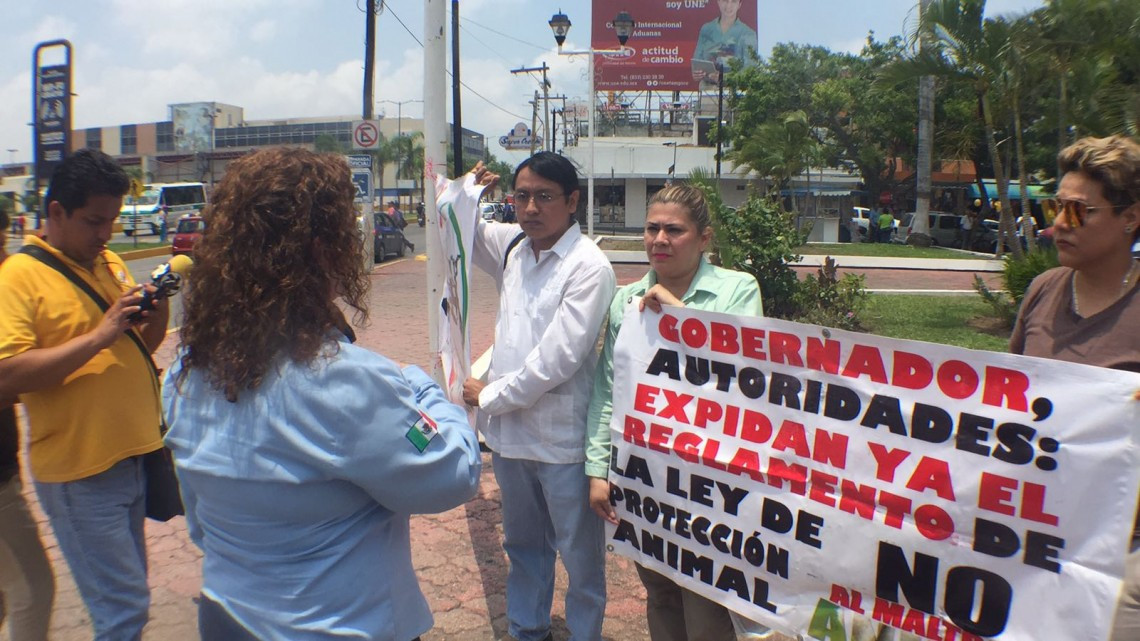 Exigen activistas prohibir el uso de caballos por los carretoneros