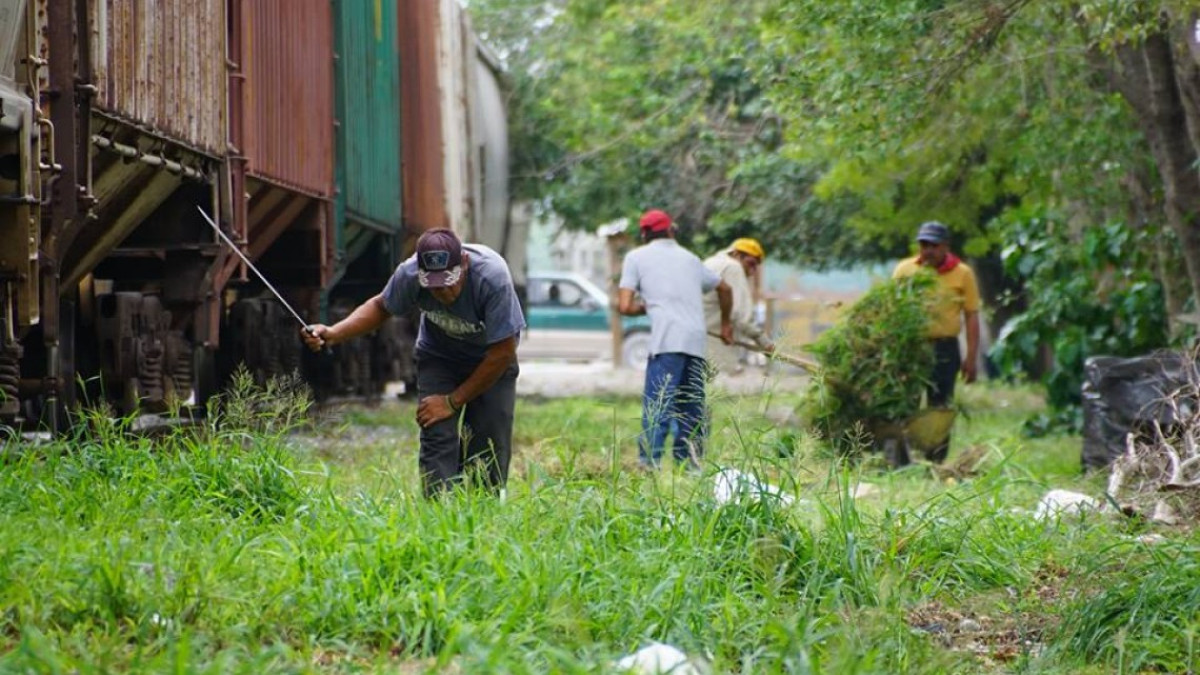 CSPP realiza labores de limpieza y mantenimiento
