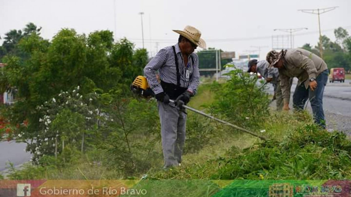 Realizan trabajos de limpieza en Libramiento