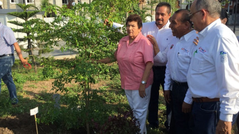 Siembra Ayuntamiento 21 árboles