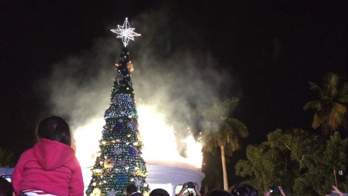 Altamira se ilumina con el encendido del árbol de navidad