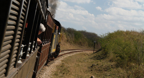 Accidente de locomotora deja cinco muertos y 43 heridos 