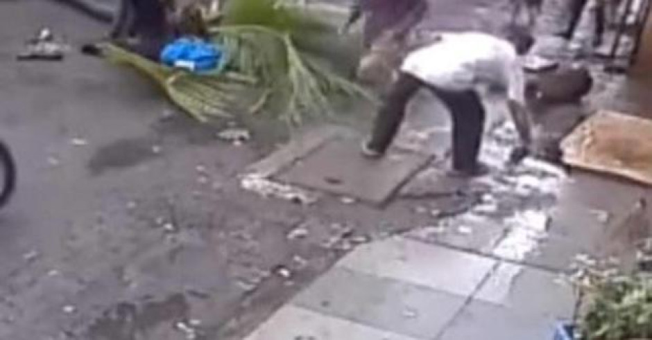 Palmera aplasta a famosa conductora de la India