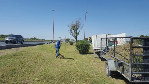 CSPP realiza labores de limpieza en calles y avenidas