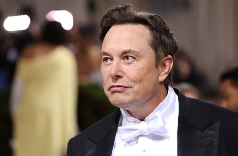 Hija de Elon Musk busca deslindarse de su apellido