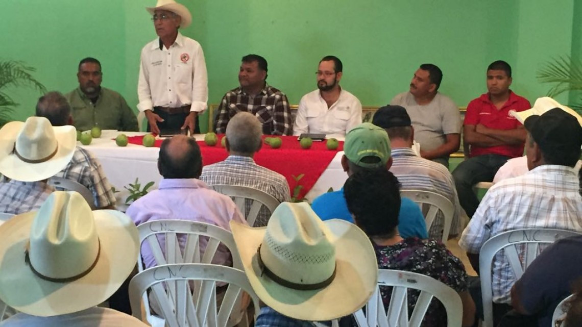 Se realizará una campaña para la sucesión de parcelas ejidales en Altamira.