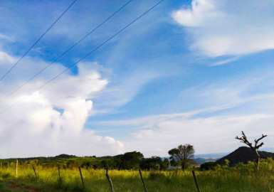 Clima en Tamaulipas: ¿Cuál es el pronóstico para este lunes 8 de diciembre?