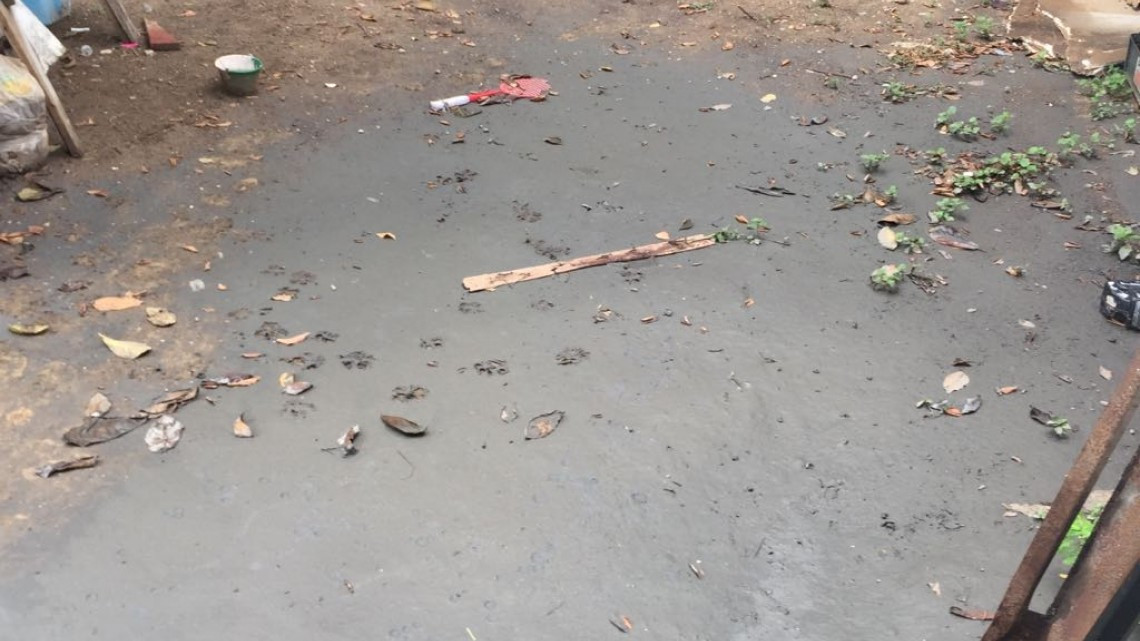 Aguas negras inundan domicilios de la colonia Tampico - Altamira