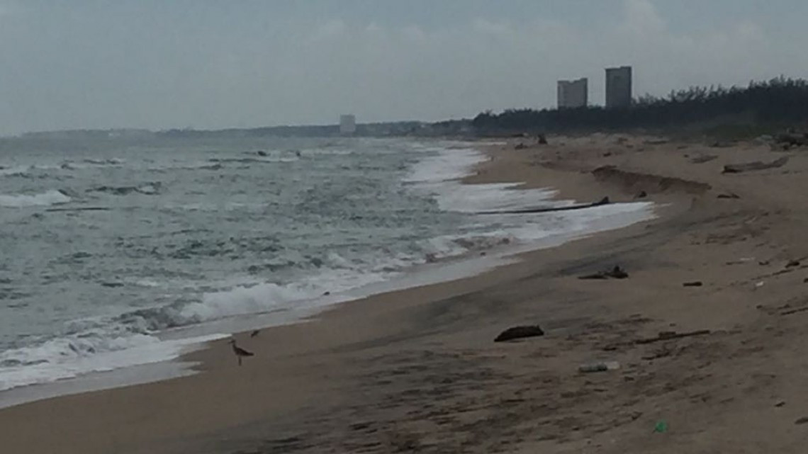 Urge iniciar trabajos para remediar el desgaste del cordón litoral que divide al mar con las marismas en Altamira.