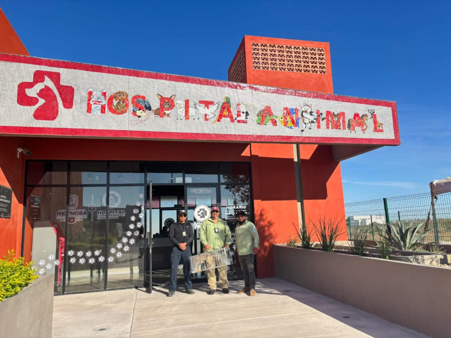 Escribieron Gobierno de Reynosa y ciudadanos una historia de amor y compasión 