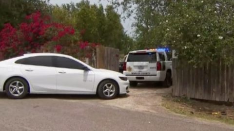 Autoridades decomisan droga durante operativo en Donna