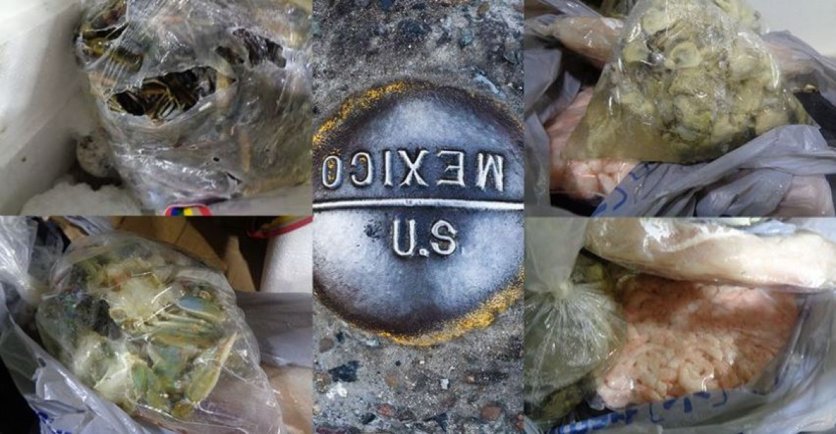 Confiscan en Puente Hidalgo-Reynosa mariscos que no contaban con documentación para ser importados  