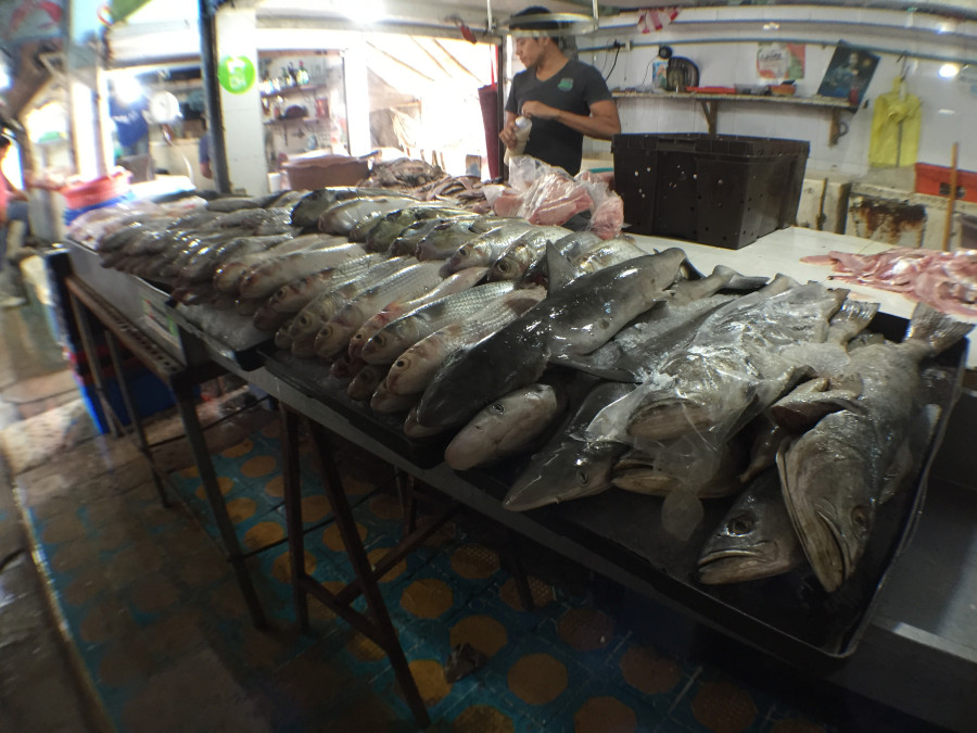 Vendedores de mariscos analizan incremento por gsolinazo