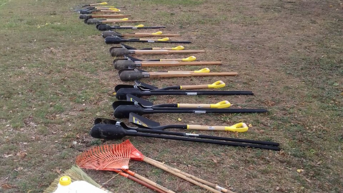 Siembran 900 arbolitos en laguna del Carpintero