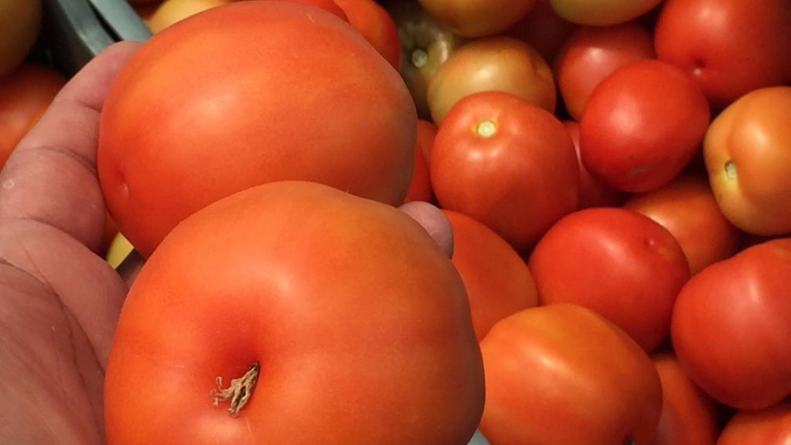 Necesario apoyar al campo ante la falta de lluvias