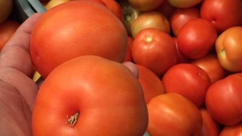 Necesario apoyar al campo ante la falta de lluvias