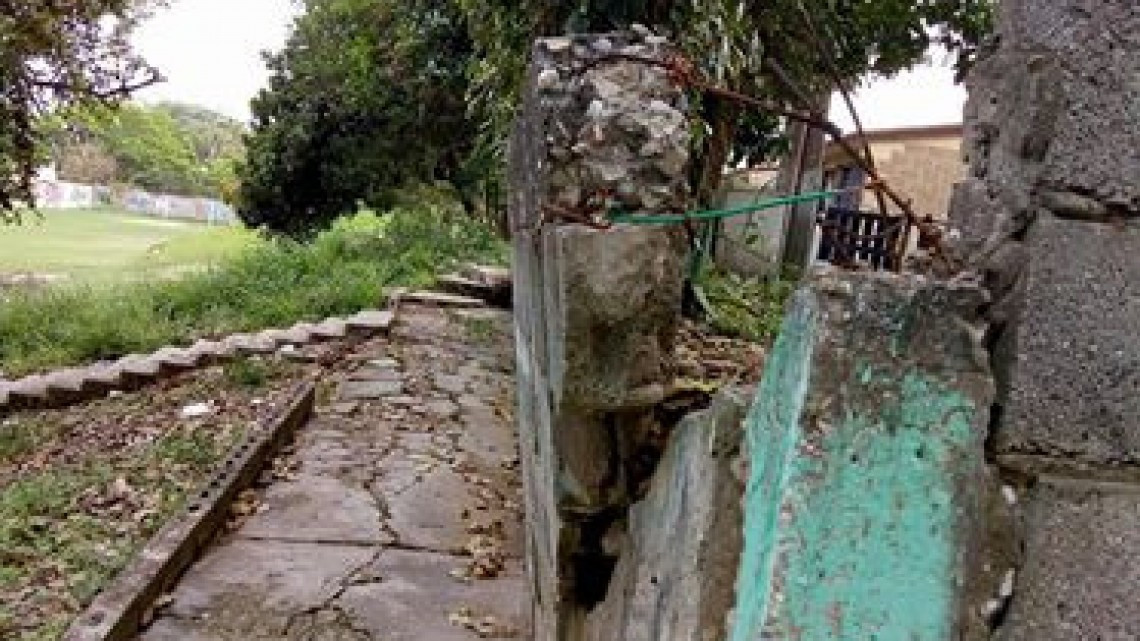 Cae árbol y daña una barda en Tampico