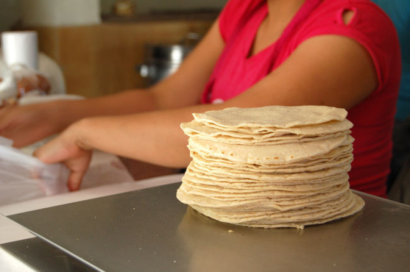 Alza en tortilla podría alcanzar los 17 pesos el kilo