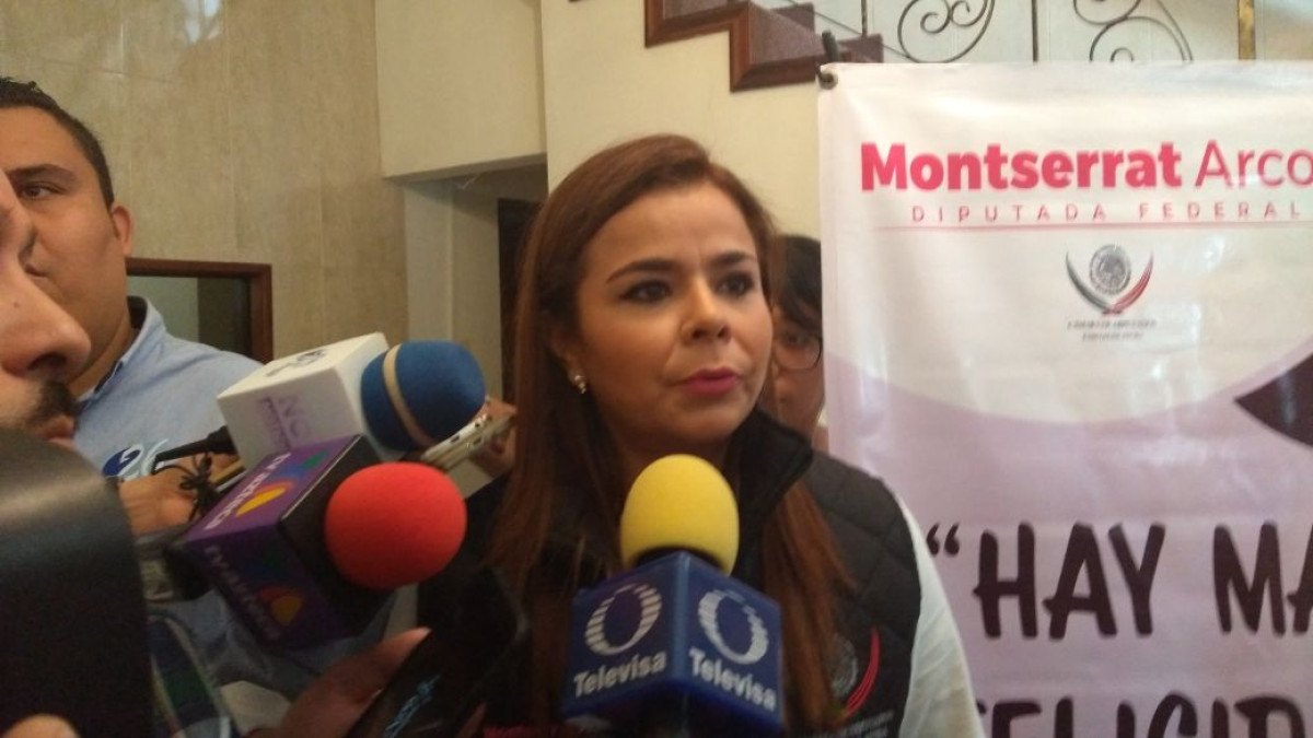 Diputada Federal ha gestionado más de 10 mdp en empleo temporal