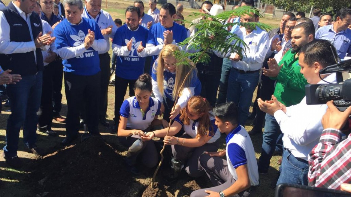 Siembran el árbol número 20 mil como parte de campaña de reforestación en el estado