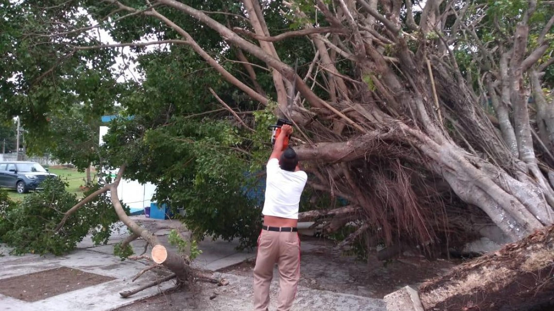 Aún hay sectores sin luz en Tampico 