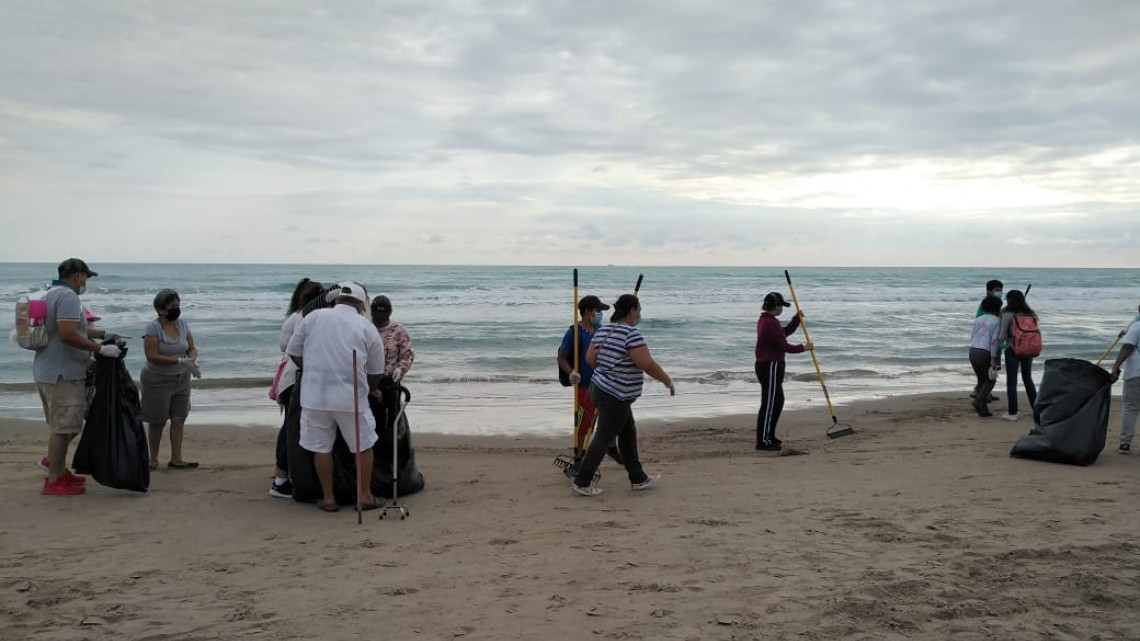 Retiran sargazo en Playa Miramar ante proximidad de la semana santa
