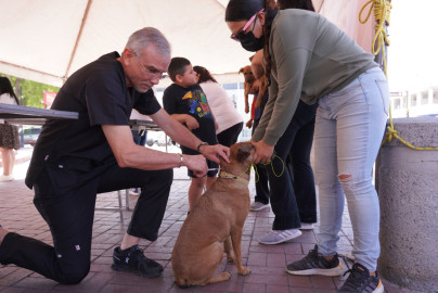 Responden ciudadanos a jornada de vacunación canina del Gobierno Municipal 
