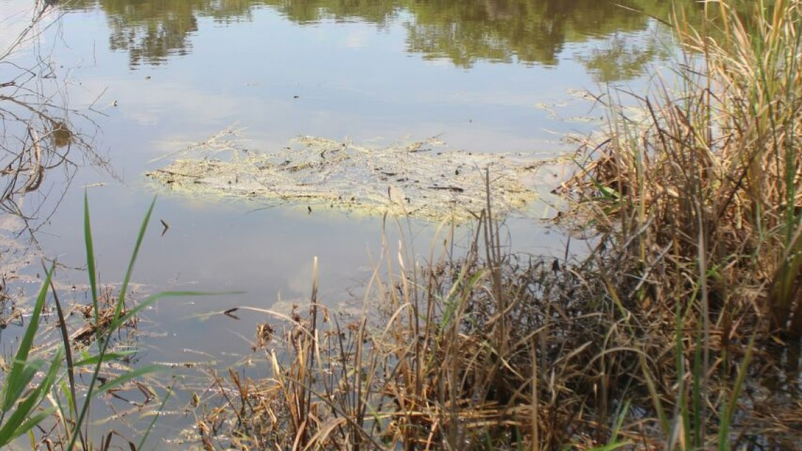 Fuga de combustible afecta tierra de siembra y presa de la zona ejidal